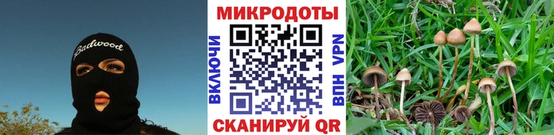 Галлюциногенные грибы Cubensis Алатырь